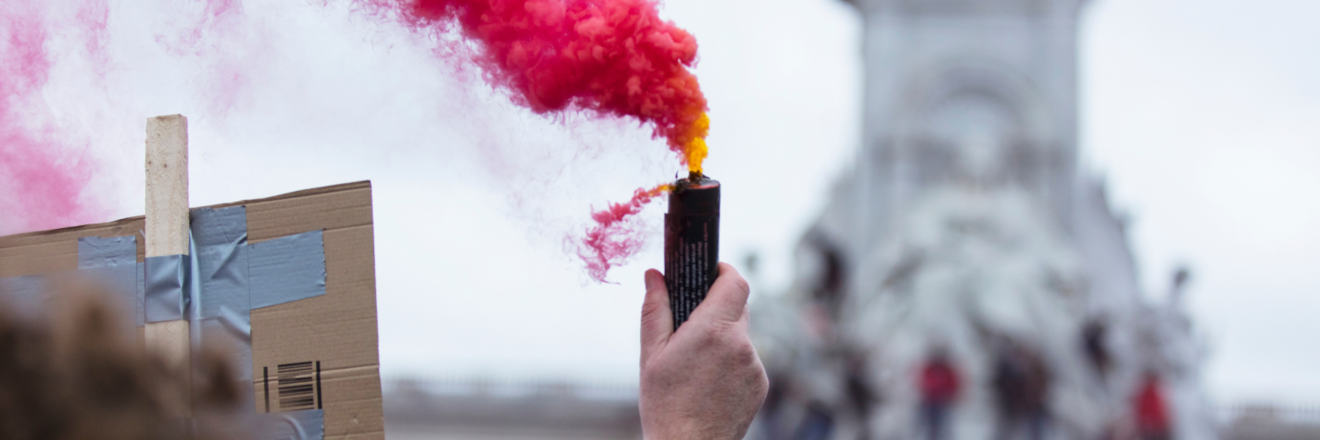 An image shows a hand holding a smoke bomb with pink smoke coming out, with a crowd at a protest in the distant background.