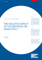 The negative impact of polarization on democracy