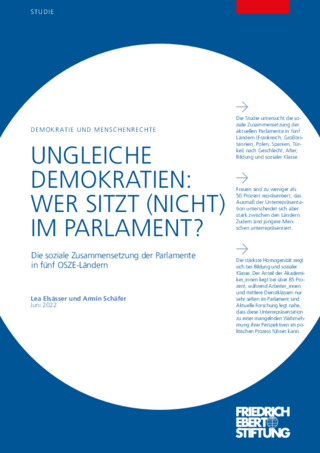 Ungleiche Demokratien: wer sitzt (nicht) im Parlament?