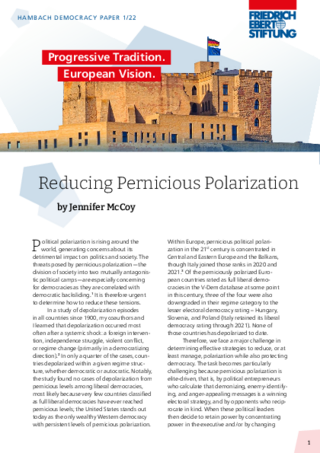 Reducing pernicious polarization