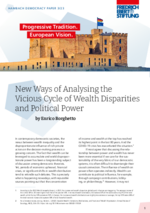 New ways of analysing the vicious cycle of wealth disparities and political power