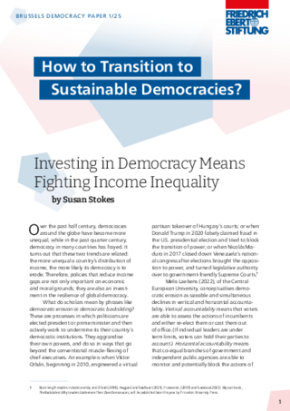 Investing in democracy means fighting income inequality