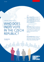 Who does (not) vote in the Czech Republic?